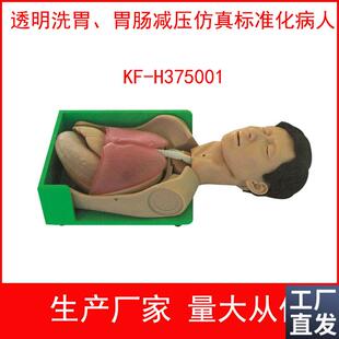 透明洗胃和胃肠减l压仿真标准化病人洗胃法操作模型吸氧法训练模
