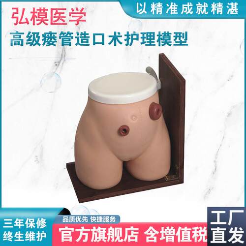 弘模HOM/38高级瘘管造口术护F理模型回肠造瘘口管饲灌肠练习