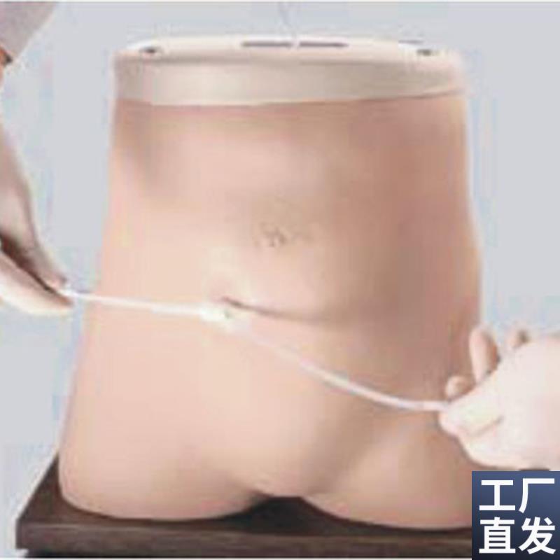腹膜透析模型