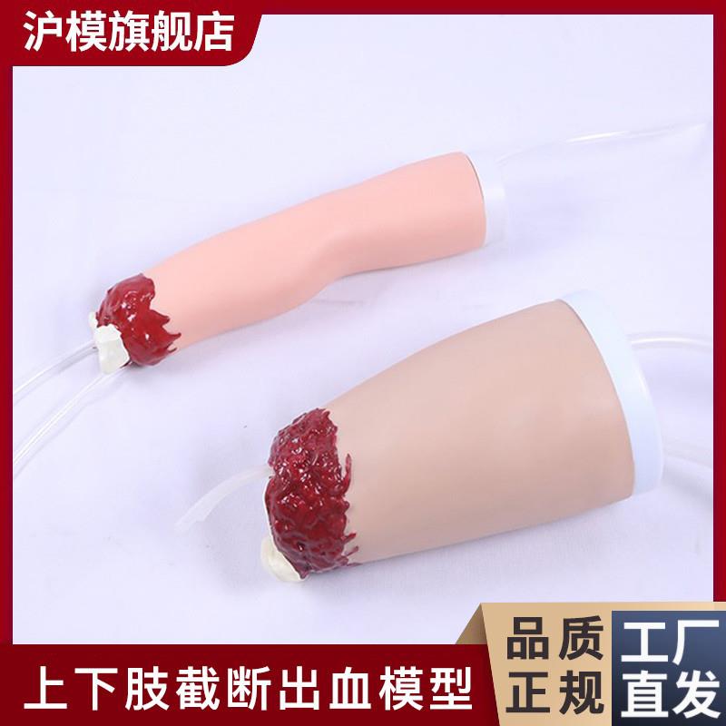 沪模上下肢外伤断肢止血模型控制出血手E臂大腿四肢创伤模型HM/D4