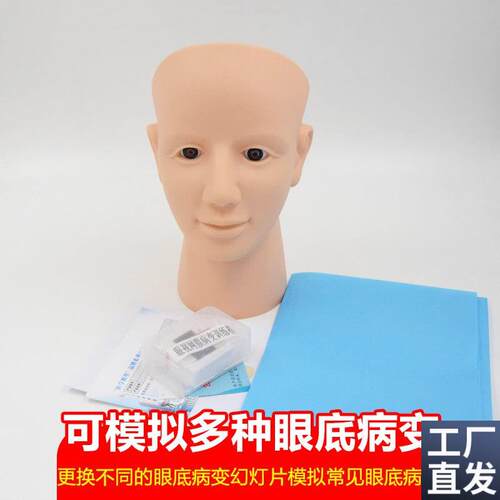 眼视网膜病变检查模型眼底检查病变诊断技R巧教具视网膜模型
