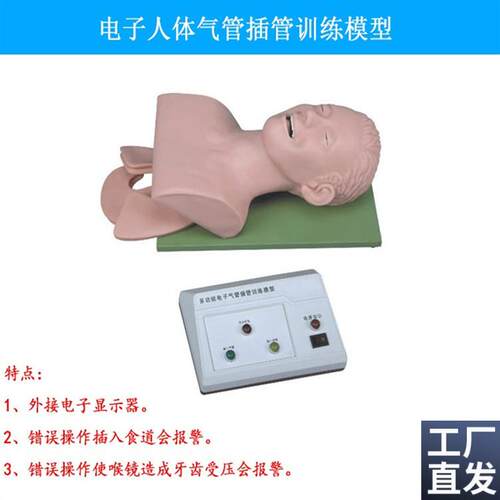 电子人体气管插管训练模型w(带牙齿报警)成人急救训练教学模具