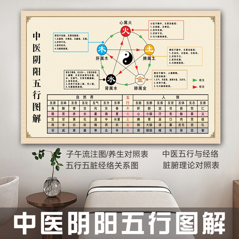 中医养生理疗馆海报阴阳五行图解挂图人体五行五脏经络关系图脏腑理论