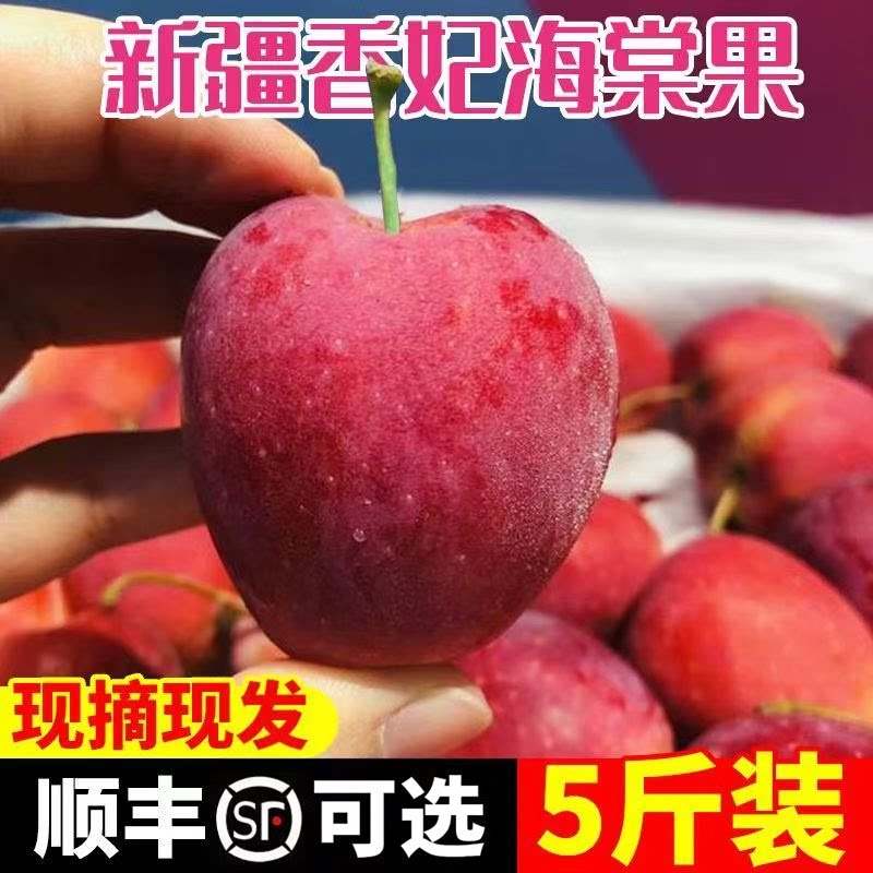 顺丰可选新疆香妃海棠果鸡心果5苹果