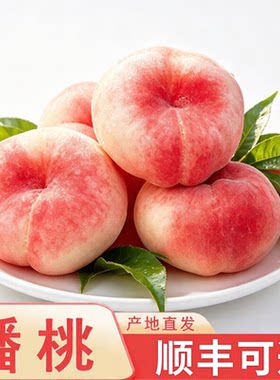 顺丰可选新疆特产大蟠桃石河子应季黄白肉纽扣扁毛桃软桃新鲜水果
