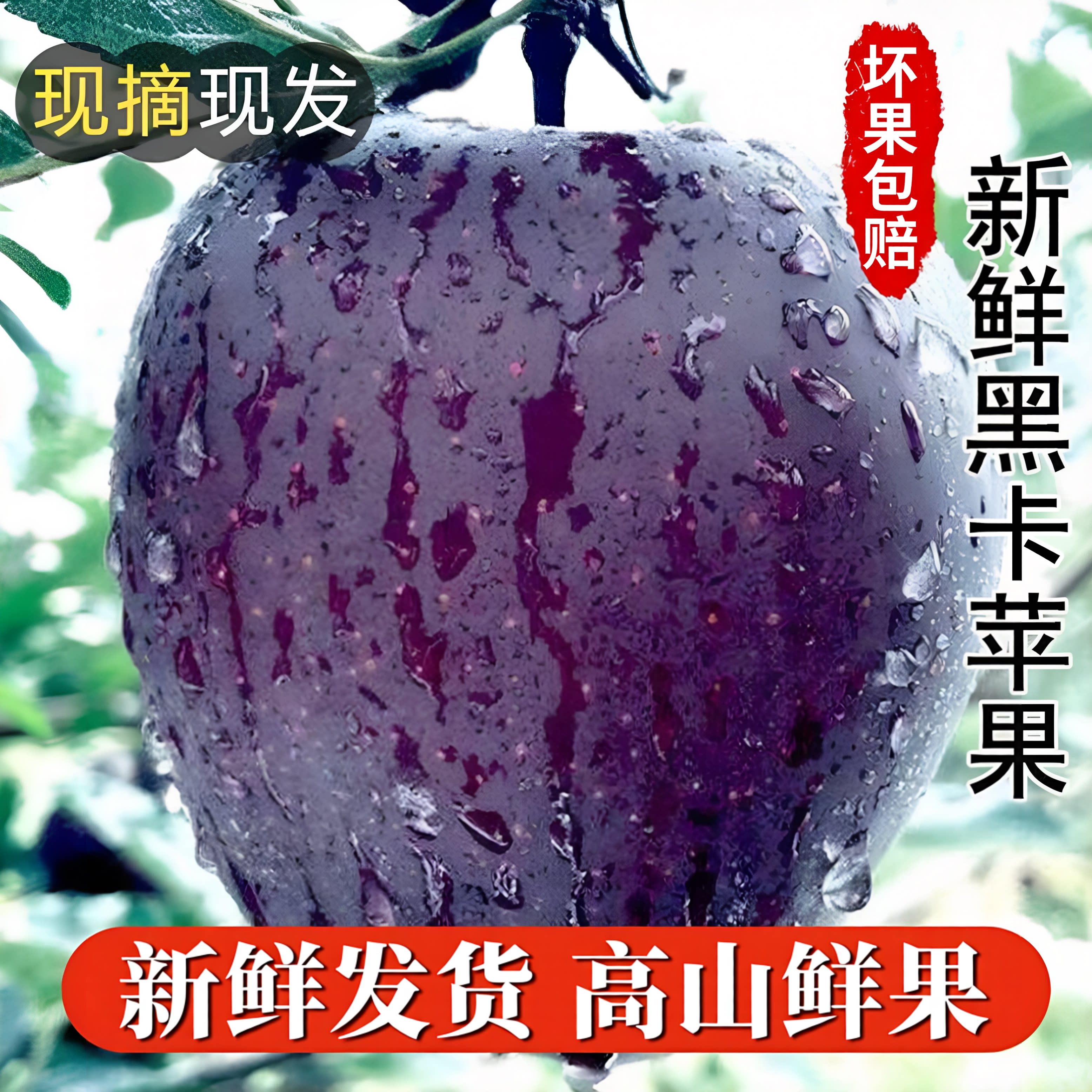 甘肃新鲜黑卡苹果当季现摘稀有脆甜粉糯黑砖苹果9斤整箱花牛苹果