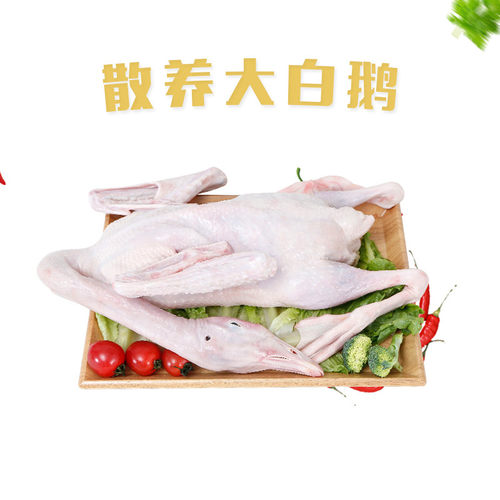 6斤6斤农家散养现杀冷冻整只鹅肉