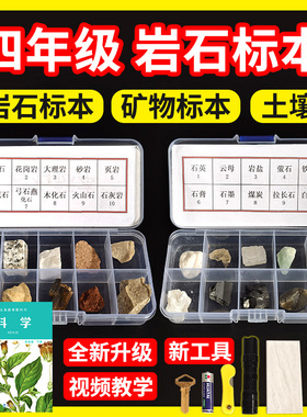 四年级科学下册小学生岩石标本与矿物矿石盒课本配套实验材料套装