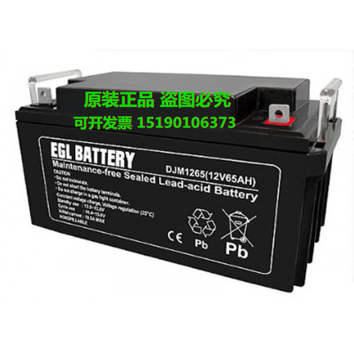 EGL BATTERY蓄电池DJM1265(12V65AH)太阳能光伏储能深循环(电瓶)