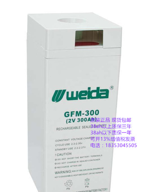 weida 威达 蓄电池GFM-300 2v300ah 铅酸 消防 机房UPS EPS电瓶