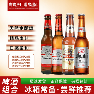 多样组合 朝日/麒麟/百威啤酒330mlx24瓶+百威275ml整箱 新货现货
