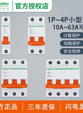 施耐德断路器E9空气开关1/2/3/4P漏电保护器1P+N 16/20/32/50/63A
