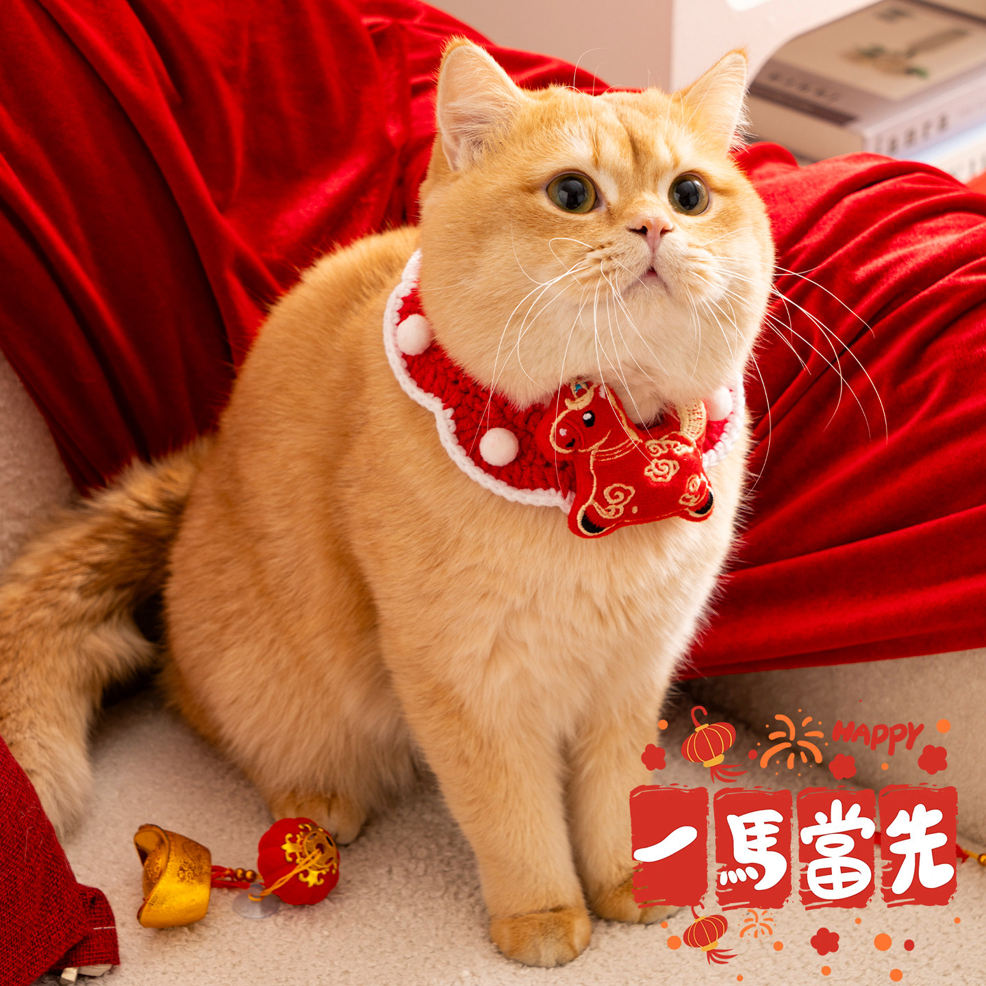 宠物新年围脖猫咪马年围巾狗狗红色喜庆项圈手工钩针猫脖子口水巾,宠物/宠物食品及用品,围巾/口水巾,淘宝优惠券,粉丝福利购,淘宝优惠卷