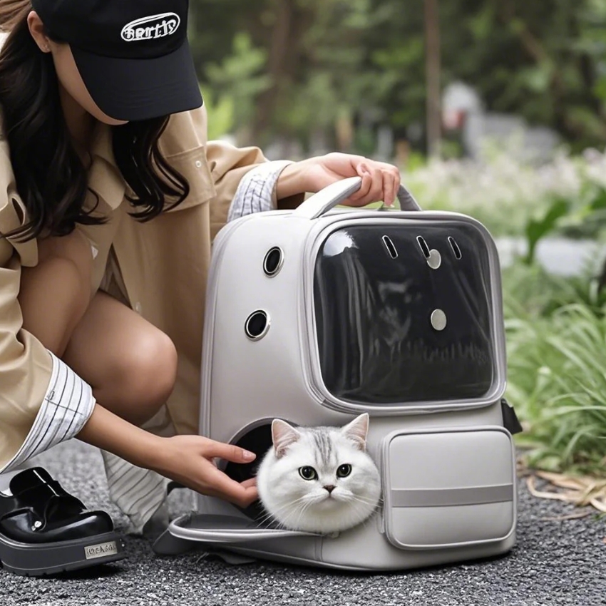 猫包外出便携轻便大容量双肩背包