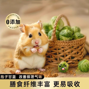 冻干孢子甘蓝仓鼠粮食金丝熊零食大礼包宠物蔬菜干兔子花枝鼠饲料