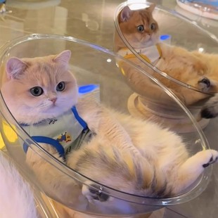 保暖四季 太空舱猫窝冬季 通用高透亚克力实木转盘猫咪玩具猫床一体
