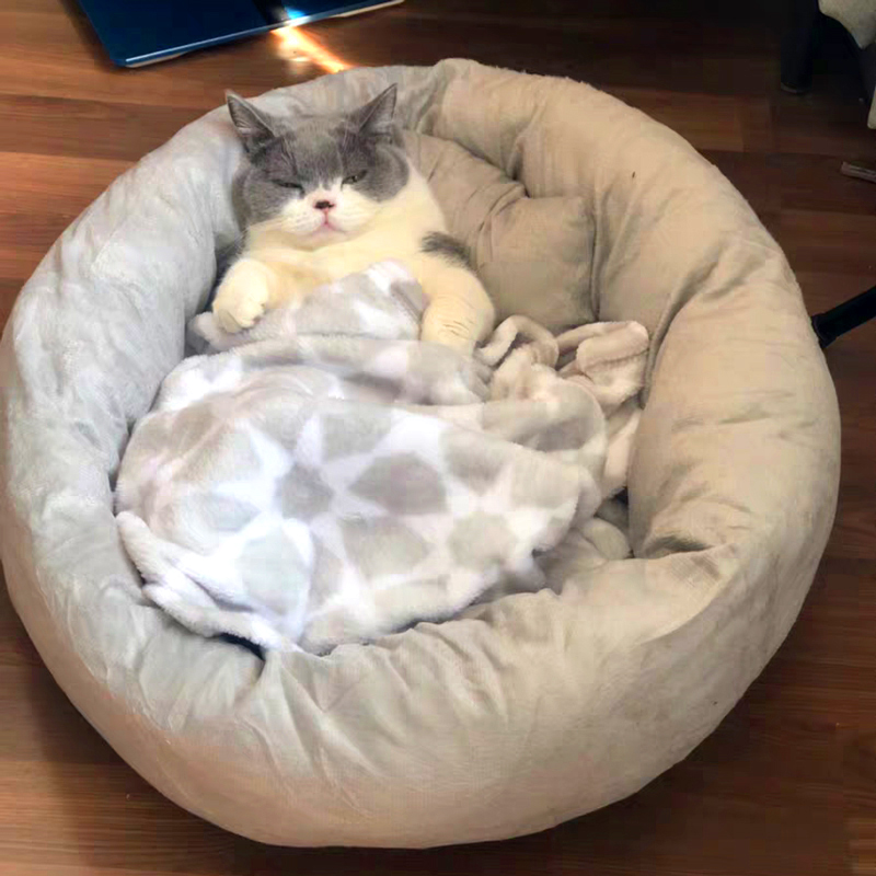 猫窝保暖睡觉小型犬宠物床
