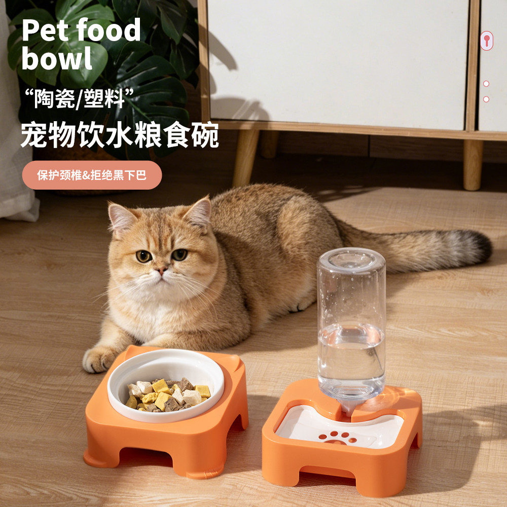 猫咪自动饮水器保护颈椎防黑下巴