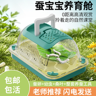 学生养蚕套装蚕宝宝活体新鲜桑叶蚕卵幼虫专用饲养盒箱太空养育舱