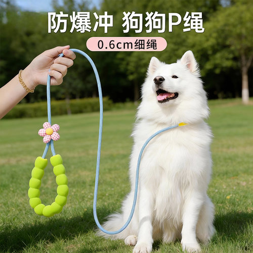 P绳防爆冲耐咬小中大型犬牵引绳
