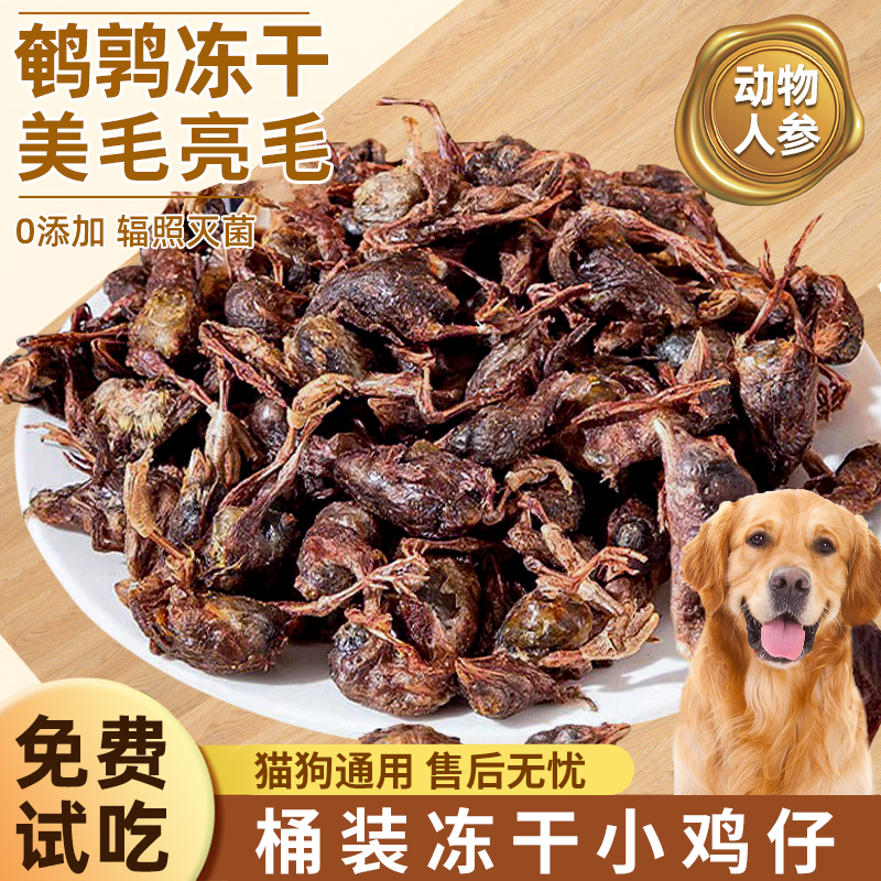 狗零食冻干小鸡仔补充营养美毛泰迪金毛增狗狗磨牙洁齿肥猫小鹌鹑