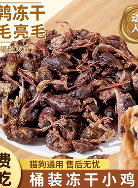 狗零食冻干小鸡仔补充营养美毛泰迪金毛增狗狗磨牙洁齿肥猫小鹌鹑