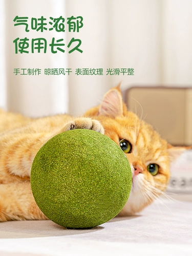 Большая мятная игрушка, прорезыватель, кот, избавление от скуки, домашний питомец