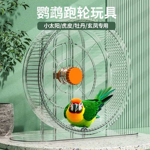 拒绝抑郁鹦鹉跑轮玩具自嗨神器