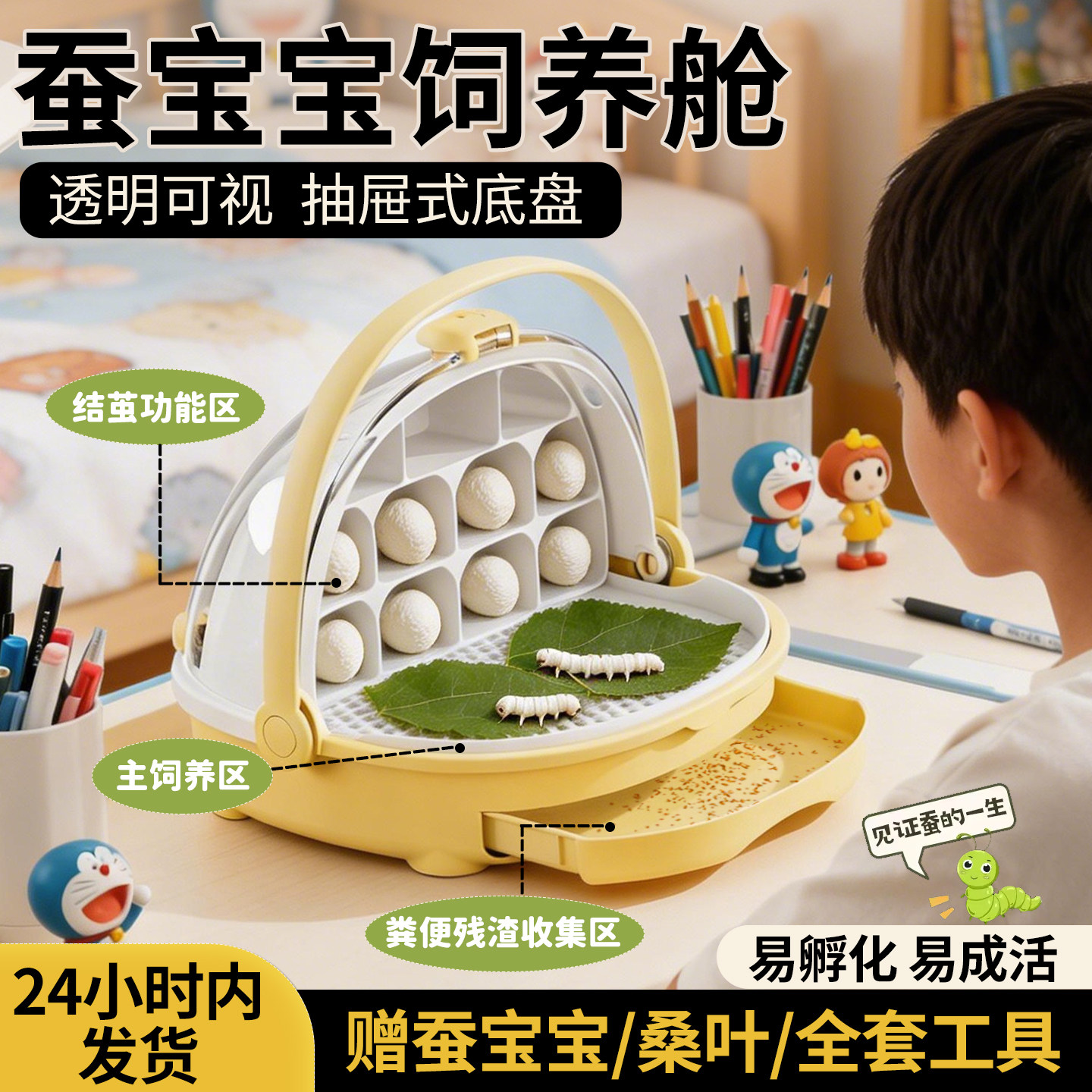 蚕宝宝学生养蚕套装蚕卵彩蚕专用饲养盒三年级养蚕全套工具鲜桑叶