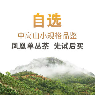 蜜兰香单丛通天香 凤凰单枞茶鸭屎香锯朵仔试喝装 自选试喝茶叶