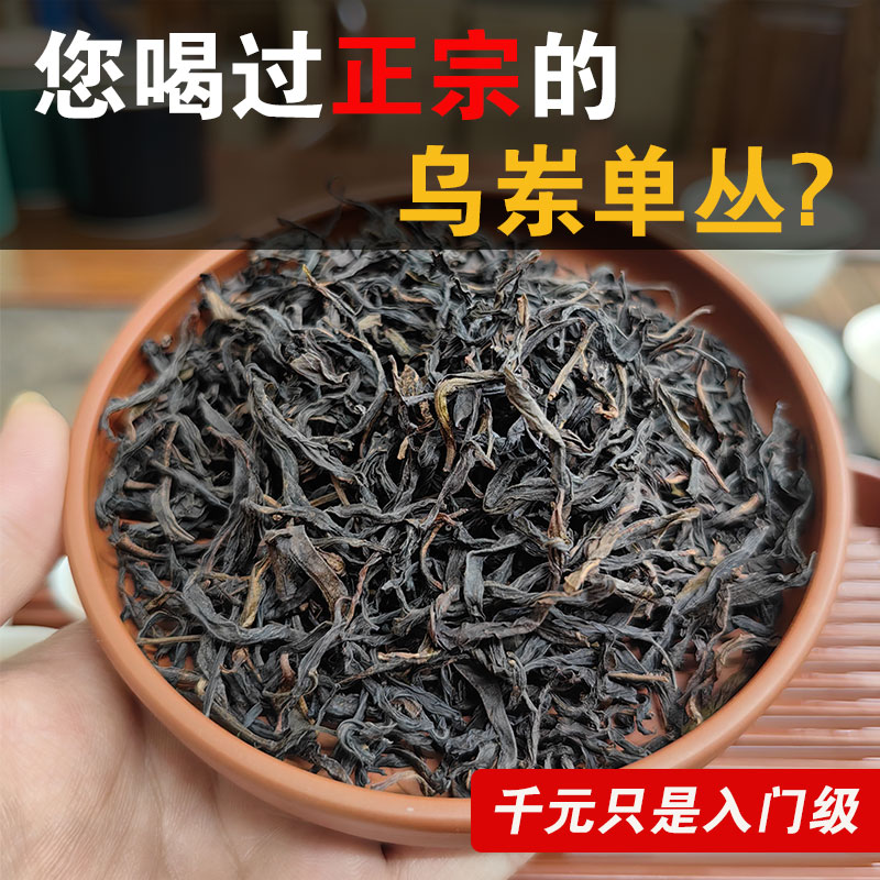 乌岽单枞单丛茶老丛宋种蜜香潮汕