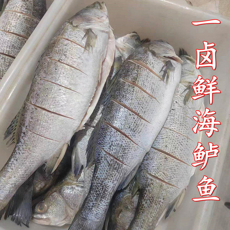 青岛特色一卤鲜海鲈鱼