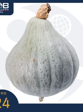贝博农场蓝哈伯南瓜 2-3kg Bebbo's Farm Blue Hubbard Pumpkin