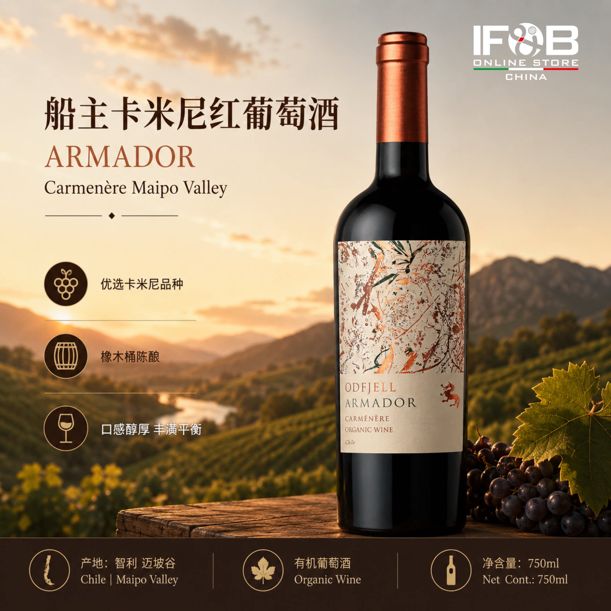 船主卡米尼红葡萄酒 ARMADOR Carmenère Maipo Valley