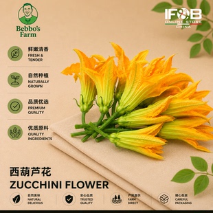 新鲜西葫芦花 1盒（50个）Zucchini Flowers