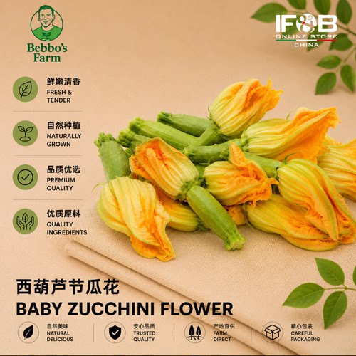 新鲜西葫芦节瓜花 1盒（50个）Baby Zucchini Flowers