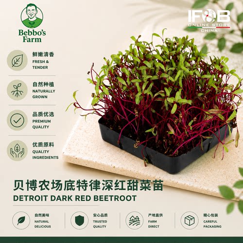 贝博农场底特律深红甜菜苗 30g Detroit Dark Red Beetroot