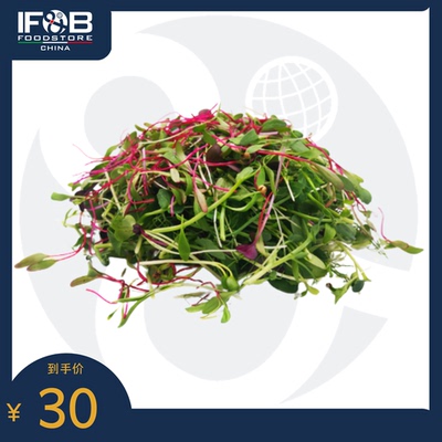 贝博农场红绿混合蔬菜苗 30g green and red microgreens mix