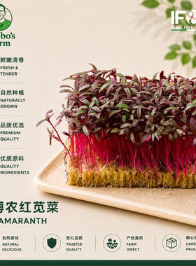 贝博农场红苋菜苗 30g Red Amaranth