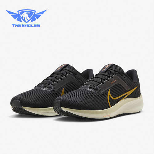 Nike/耐克正品Pegasus 40飞马男士公路缓震跑步鞋HF0732-070