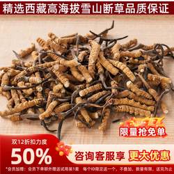 正品西藏断草那曲冬虫夏草大断草50-100克过节送礼自吃礼盒泡酒料