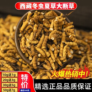 西藏冬虫夏草正品 头期正宗那曲虫草大断草泡酒整草干货高档礼盒装