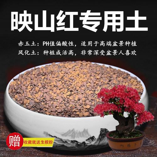 映山红专用土赤玉土风化土风化石颗粒土酸性土红土专用肥玉肥营养