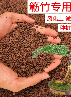 小叶簕竹土勒竹专用土风化土种竹子土红土酸性盆景土种植土营养土