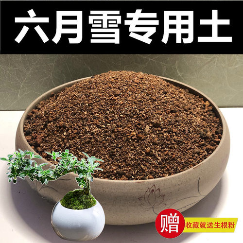专用土颗粒土赤玉土种植土风化土