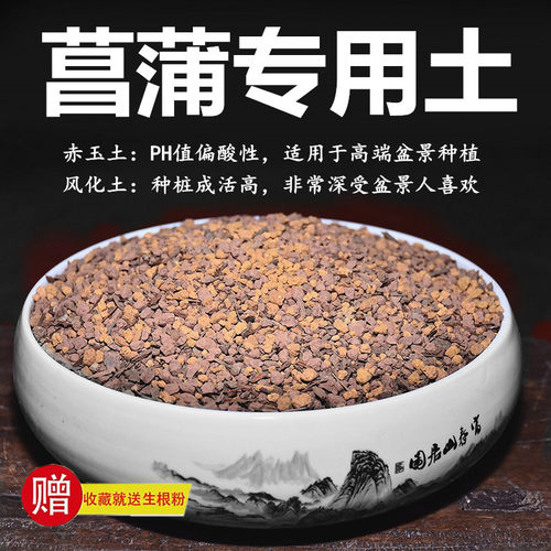 菖蒲专用土赤玉土风化土风化石颗粒土酸性土红土专用肥玉肥营养土