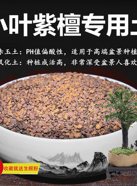 小叶紫檀专用土赤玉土风化土