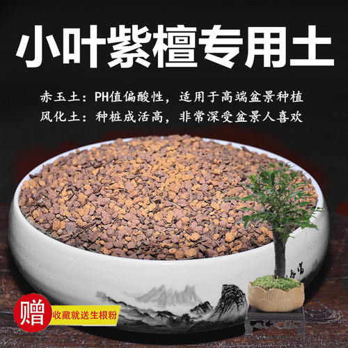 小叶紫檀专用土赤玉土风化土