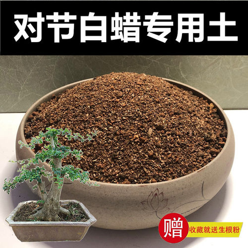 营养土专用土颗粒土种植土赤玉土