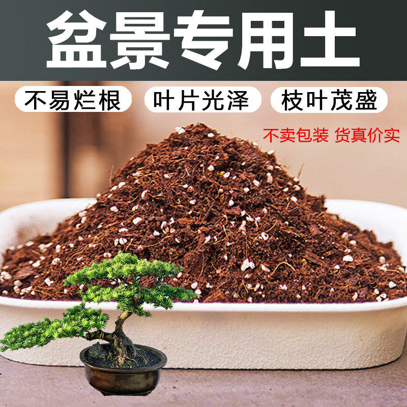 盆景土专用土风化土赤玉土种植土盆栽罗汉松土黄杨土柏树金弹子土